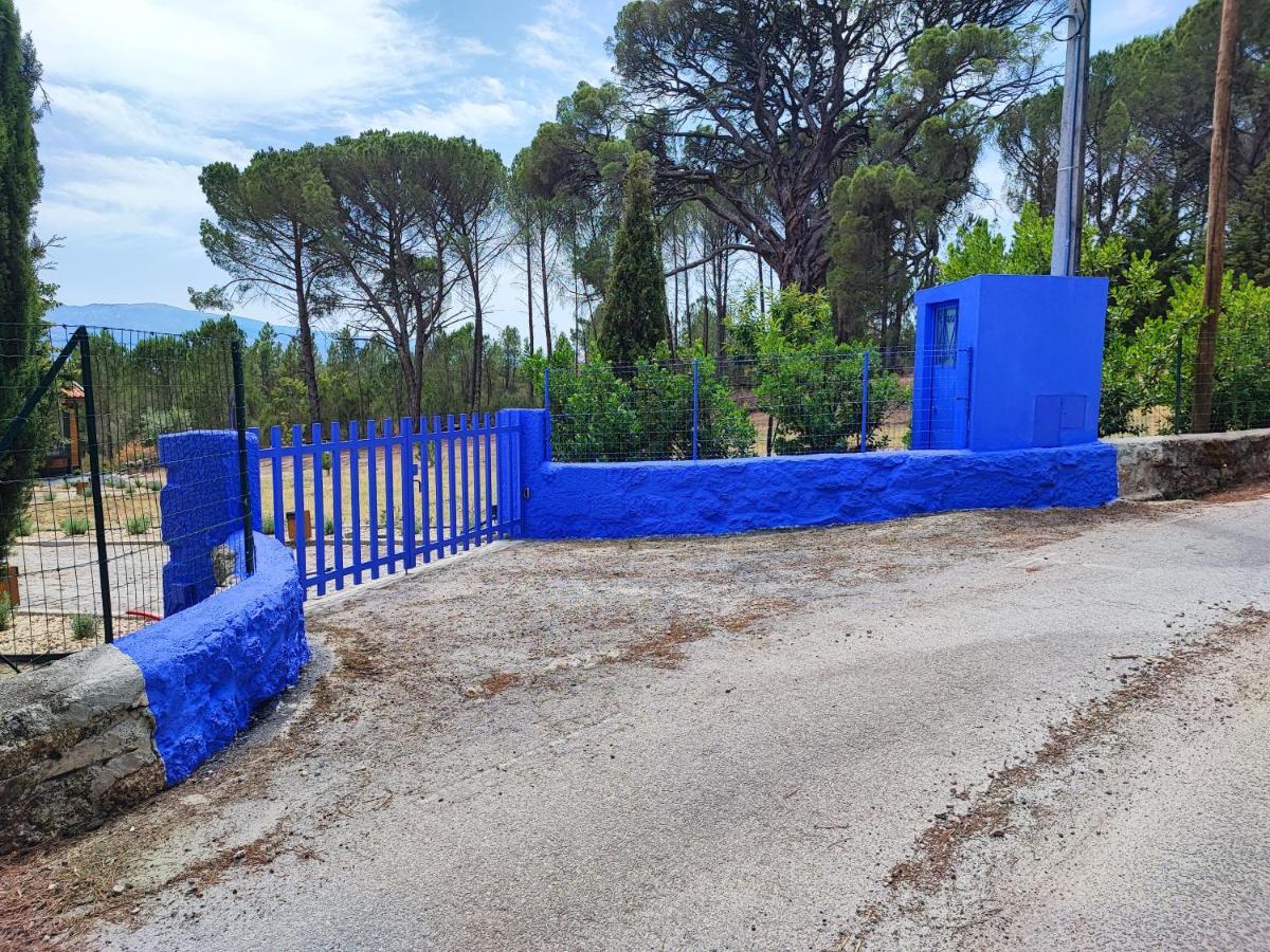 Casas Do Pinheiro Grande Villa Fornos de Algodres Eksteriør bilde