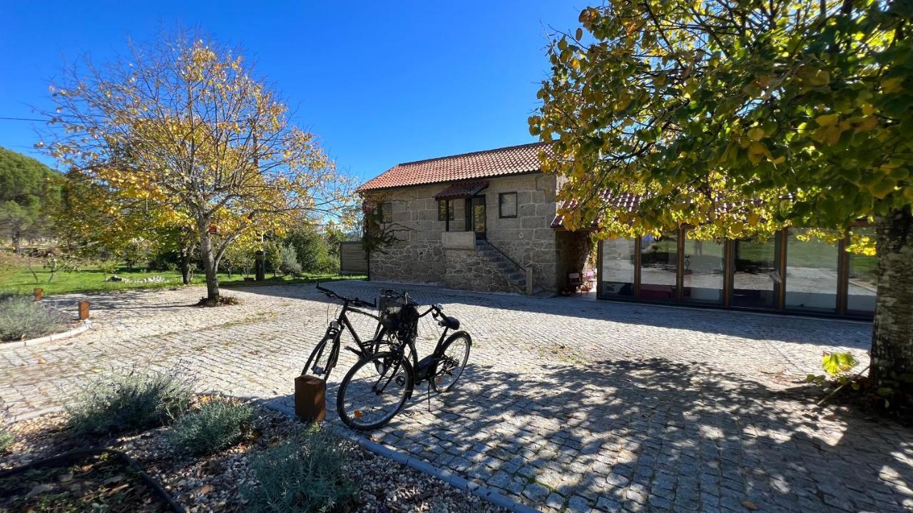 Casas Do Pinheiro Grande Villa Fornos de Algodres Eksteriør bilde