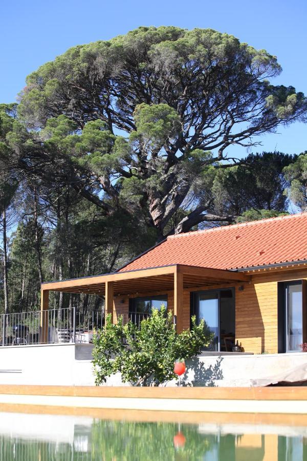 Casas Do Pinheiro Grande Villa Fornos de Algodres Eksteriør bilde